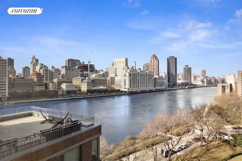 New Massive 1 Bedroom Apartment in one of the Most Desirable Condo Buildings on Roosevelt Island! The Apartment Features Washer/Dryer In-Unit, Hardwood Floors, an Open Chef's Kitchen, Granite Counter Tops, Stainless Steel Appliances, Marble Bathrooms...