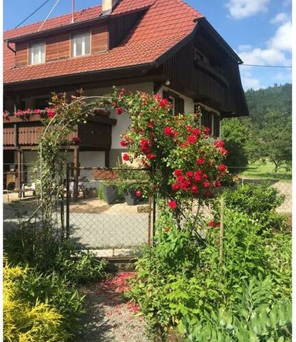 Cozy, newly renovated Black Forest house - for exclusive use. Very quiet, central and comfortable. For 8 - 10 people.