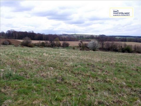 An agricultural plot with an area of 21.52 ha, located in Chocianów, Polkowice district. Agricultural land in one complex located in the vicinity of agricultural land and forest. Access via asphalt and dirt roads. Land class: R IV a, b - 9.31 ha, R V...
