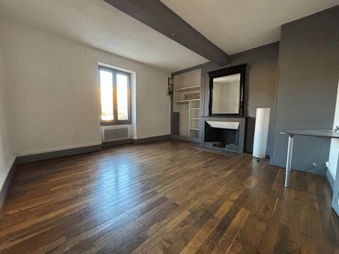 Place de Verdun - Immeuble historique - Grand studio 48,5 m2 - Avant dernier étage (1er étage / 2) - 1 grande cuisine SAM - 1 grand salon ou chambre - SDB refaite - WC indépendant - Petite cours non privative - Idéal 1er achat ou investissement locat...