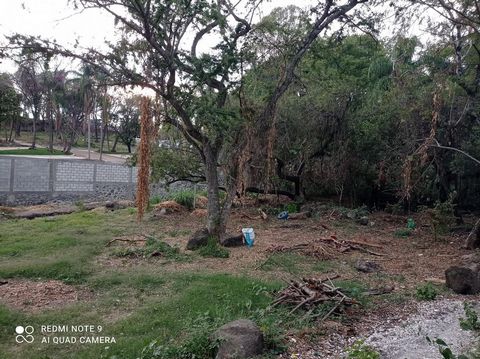 Terreno plano en el corazón de Acapantzingo con cercanía a escuelas, bancos, supermercados y todos los servicios. Con 50 de frente por 29 de fondo y uso de suelo habitacional H2 y comercial CUA.