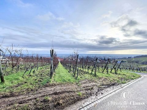 Op de hoogten van Heiligenstein, zeer mooie rustige locatie voor deze bouwkavel met een totale oppervlakte van 7,99 are met uitzicht op de vlakte. Bebouwbaarheidszone UA en AA (voor de onderste helft van het land). Vrij van architect. Neem contact me...