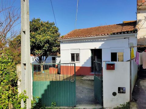 Villa mit 2 Schlafzimmern im Zentrum von Maiorga mit allen Dienstleistungen in der Nähe. Es liegt 10 Minuten von der Stadt Alcobaça und Nazaré entfernt. Verpassen Sie nicht dieses große Investitionspotenzial und buchen Sie jetzt Ihren Besuch! Warum m...