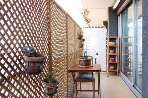 photo no. 15