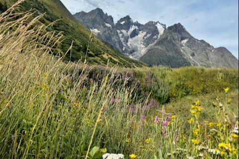 Residence Alpaga är ett charmigt boende beläget i Serre-Chevalier 1400. I hjärtat av en anlagd trädgård kommer du att njuta av ett idealiskt läge mindre än 50 meter från resortens centrum med dess butiker och aktiviteter. Den kommunala poolen ligger ...