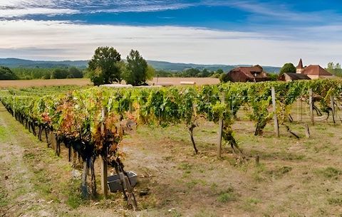 LOT DOMAINE VITICOLE AOC CAHORS 19 HA - Magnifique château viticole sur une terre dédiée à la vigne, dans le berceau du Malbec, au sein de l’AOC Cahors. La propriété se compose d’une superbe maison de maître du XIXème, en pierres, et parfaitement con...