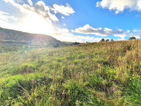 COD. EXT. 7093 Land with 4040m², with 2100m² inserted in urban space level 3, allowing the construction of up to 601m². Land with beautiful views and excellent sun exposure. Located just 7 minutes from the city of Caldas da Rainha, Óbidos Castle 15 m...