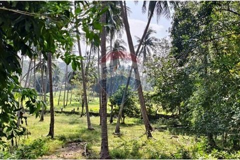 Peaceful flat land, located in Ang Thong , Koh Samui, Surat Thani Province. Just 2 minutes from the main road, close to popular beachfront restaurants. Location: Ang Thong, Koh Samui Land Size: 1,736 sq.m. or 434 sq.w (1-0-34 Rai) Title Deed: Chanote...