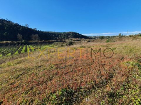 COD. EXT. 7093 Land with 4040 m2, with 2100 m2 inserted in level 3 urbanizable space, allowing the construction of up to 601 m2. Land with beautiful views and excellent sun exposure. Located just 7 minutes from the city of Caldas da Rainha, Óbidos Ca...