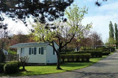 En un ambiente decididamente bucólico, el Domaine du Lambon le invita a estancias en la naturaleza. En una casa de una sola planta o en una casa móvil totalmente equipada, o en uno de los 44 campings, disfrute en familia o con amigos, recargue energí...