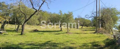 Ideal land for an agricultural project. This land has an arborean culture and a fantastic sea view. Ideal location and good price. São Brás de Alportel, as a municipality, was created in 1914 thanks to the increase in population and economic importan...