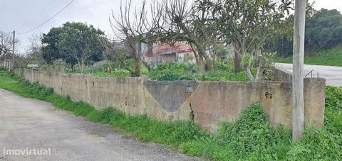 ALLOTMENT PERMIT No. 582/14 Urban land of drawer with an area of 274.50m2. Located in Qtª Stº António da Romeira, near the Funchalinho area Possibility of sale of contiguous land.   Considering the provisions of the Permit:   Typology - single-family...