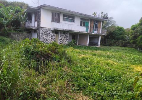photo no. 2