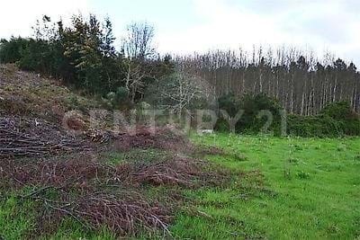 Rustic plot of land intended for cultural and pine forest with a total area of 11,600m2 located in the village of Areeiro, Covas, Tábua. In the agricultural part there is a well with abundant water. Pls. book your visit!