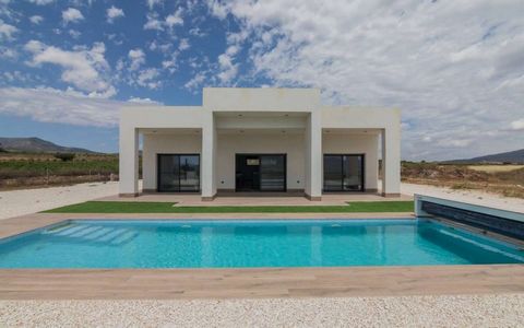 Raspay Villa is a modern and functional design that optimises residential living on a single floor, with a built area of 123.20 m². The main area combines the living room and kitchen into a spacious 39.85 m² space, designed to be the heart of family ...