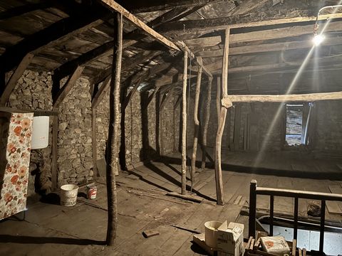 photo no. 11