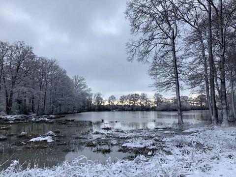 Im Süden des Parc Naturel RÃ©gional du Perche, ein außergewöhnliches bewaldetes Anwesen an einem weitläufigen Wasserweg, 1h30 von Paris entfernt. Ursprünglich in seiner Geschichte, war dieses bedeutende Anwesen Teil des Parks einer mittelalterlichen ...