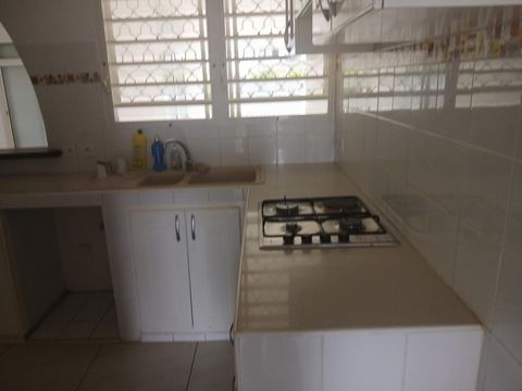 photo no. 11