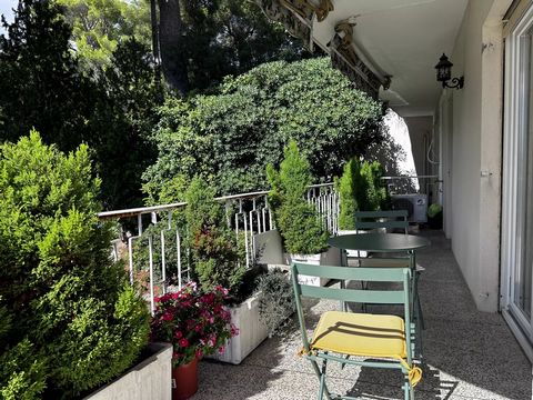 photo no. 11