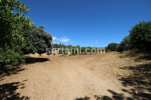 Fantastico terreno rustico situato in mezzo alla natura nel comune di Faro. Con una superficie di 1 ha, questo terreno ha molte possibilità per scopi diversi. L´intero terreno è pianeggiante, con un muro in pietra, che lo rende ideale per l´installaz...