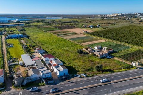 Dieses prächtige Anwesen, das sich am Eingang der Stadt Faro befindet, besteht aus einem flachen Grundstück von 19.147m2 und einer zu sanierenden Villa, es hat ein großes Entwicklungspotenzial, sei es für Wohn-, landwirtschaftliche oder touristische ...