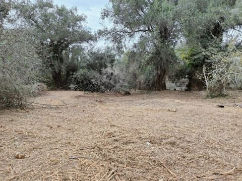 Waarom dit perceel een gouden kans is Toplocatie : Slechts 10 minuten van het prachtige strand van Agios Gordios en 10 km van de levendige stad Corfu . Bebouwbaar land : Volledig binnen het stedenbouwkundig plan, met een bouwfactor van 1,0 en vlak te...