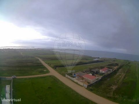 Um terreno rústico de 5000 metros quadrados com três estradas entre a Praia do Baleal e Almagreira, perto da vila de Ferrel, oferece várias possibilidades de uso. Aqui estão algumas considerações: Turismo Rural : Se a área for adequada, o terreno pod...