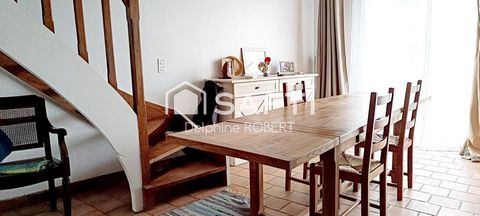 photo no. 5