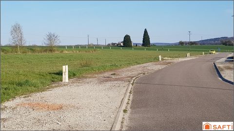 photo no. 1
