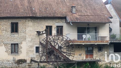iad France - Sonia Chays bietet: Wunderschönes Stadthaus voller Charme und Geschichte, mit seinem Rad aus dem alten Moulin Pouguet (sehr innovatives System, erbaut 1921 von Etienne Pouguet, damals Müller in Ornans) Eine riesige Terrasse an der Loue u...