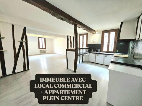 IMMEUBLE AVEC APPARTEMENT, LOCAL COMMERCIAL ET CAVE