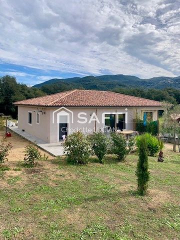 Maison contemporaine, plain pied