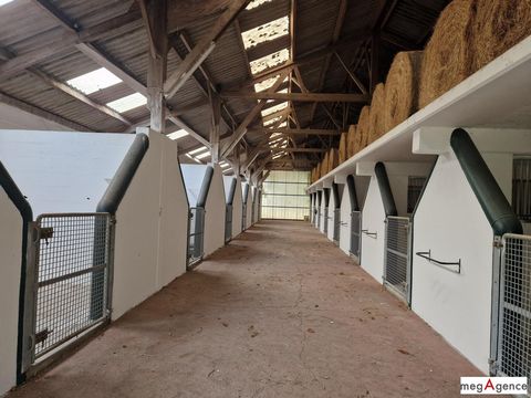 Bâtiments (5) d'environ 2300 m² - Terrain environ 4 hectares - Logement de fonction