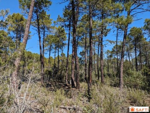 Terrain de 49 930 m²