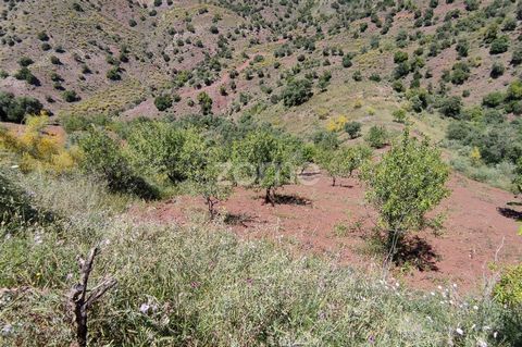 Identificação do imóvel: ZMES505734 If you are looking for your own rustic finca just 10 minutes from Malaga on the Almogia road, this is your chance. The farm has 341,358 meters built, access is directly from the A-7075 road. It has a water well and...