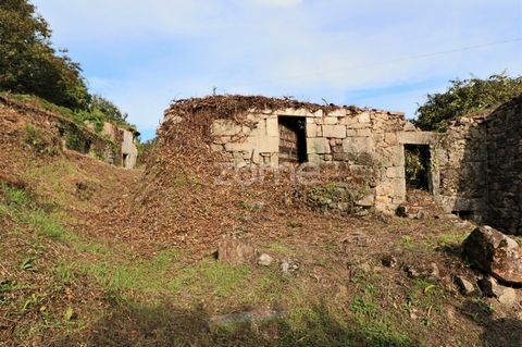 ID de la propriété: ZMPT551036 Ruine T2em Touvedo , composé de rez-de-chaussée et premier étage avec environ 540 m2 de terrain. Dans un petit endroit de la paroisse de Touvedo, à proximité de la nature caractéristique de la municipalité de Ponte da B...
