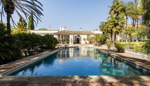 A typical Portuguese quinta built in the 19th century , the main house was completely renovated in 1979–80, with many improvements added since then. The Quinta is a luxury oasis situated within a very well-cultivated botanical garden , surrounded by ...