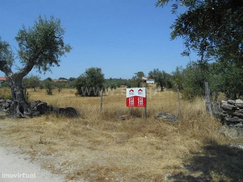 Land with an area of 14500 m2 well located and with good access. Good deal! Excluded from the SCE, under Article 4, decree-law No. 118/2013, of August 20.