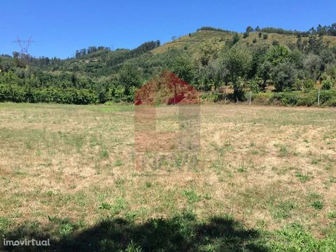 For sale agricultural land with 17000m2 and construction support; Plan Water and tank storage; Planting raspberries (2000m2); Good access; Excellent sun exposure!