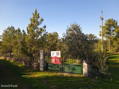 Excellent Small Farm consisting of 2 plots. One with 3000m2 and another with 1250m2. It has a stone well, a borehole, a ruin and an annex for brick agricultural support. Along the land are fruit trees, cork oaks, pines and vineyards. Good land for cu...