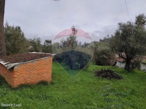Agricultural land, with an area of 2,720m2, located in Portela, populated with arable culture, olive grove and a small agricultural house, with the possibility of construction conditioned for farmer's housing purposes