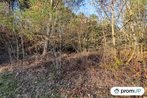 Welcome to this exclusive real estate listing. Nestled in the charming town of CHÂTILLON-SUR-CHER, we present you a natural treasure with a generous area of 1595 m2, where urbanization is not the law. This non-buildable plot, a rare pearl, offers you...