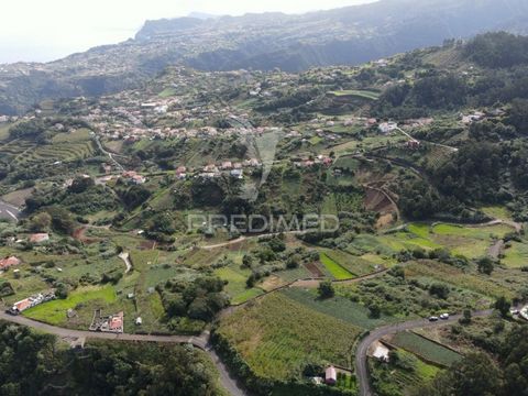 Tomt till salu i São Jorge - Santana! Denna tomt har en yta på 1 820 m2 och två vägfronter, med ett utmärkt läge i ett lugnt område och i centrum av naturen. Med utökad utsikt över staden Santana och bra solexponering har denna fastighet stor potenti...