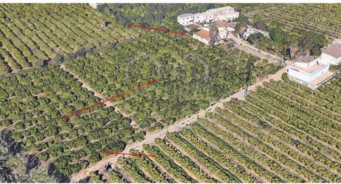 Infinite potential in a 21,499m2 property with a mixed building, urban dwelling, and agricultural land. Explore the wonderful estate situated in the rural and agricultural zone on the outskirts of the city of Faro, Algarve. With a total area of 21,49...