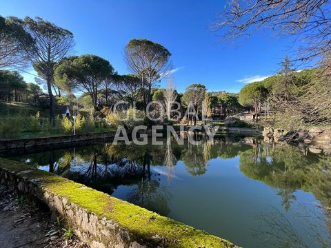 FULL VIDEO IN ADDITIONAL LINK **360 VIRTUAL TOUR AVAILABLE** Rustic Finca of 21.4 hectares with beautiful luxury alpine style villa of 525m² 50 minutes from Plaza de España, in the middle of nature, surrounded by forests. It has a stream with its own...