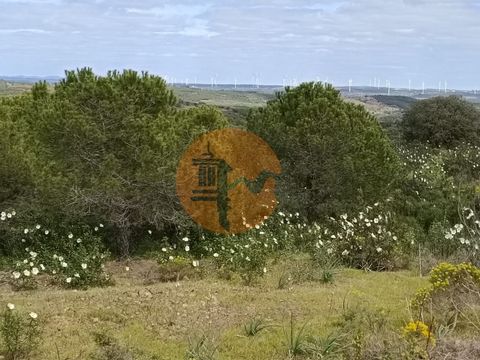 Rustikales Grundstück mit 5.920 m2 in der Nähe von Piçarral in Azinhal, Castro Marim - Algarve Land in der Nähe von öffentlichem Strom. Freier Blick auf die Serra Algarvia. In der Nähe des IC 27-Zugangs. Nur 15 Minuten von den besten Stränden der Alg...