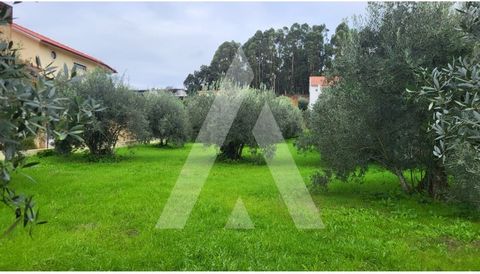 Urbanizable land with 930 m2, located in Casal da Cruz, in Caranguejeira, Leiria. This practically flat plot of land is an excellent option for those who want to build a house. Inserted in a context of nature but with the center of the village 500m a...