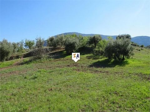 This plot of around 3,600 square metres with views of mountains and the nearby reservoir too is fairly level, making an ideal quiet spot for a wooden cabin or prefabricated house. It has an old well which would need legalising. Just a few minutes wal...