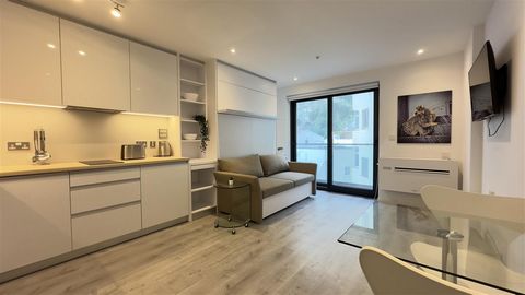 Located in The Hub. Chestertons is pleased to offer this property for rent in The Hub, Gibraltar. This studio apartment comes fully furnished with a pull down sofa bed and small balcony. Residents also have access to the communal gym and communal are...