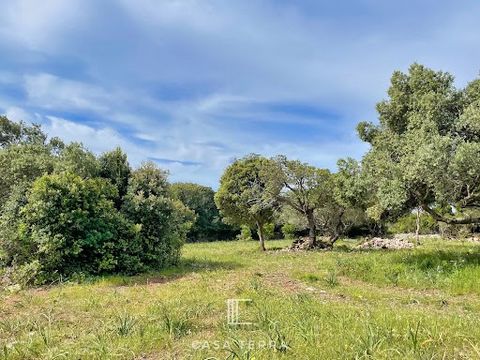 - Video on demand - Just 10 minutes from the center of Bonifacio, in a 13-lot subdivision, this rare property represents an exceptional opportunity to acquire a 2,263 m² building plot with sea views. Ideally located, 'BIANCU' is east-facing and enjoy...